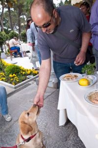 klikni za prikaz velike slike